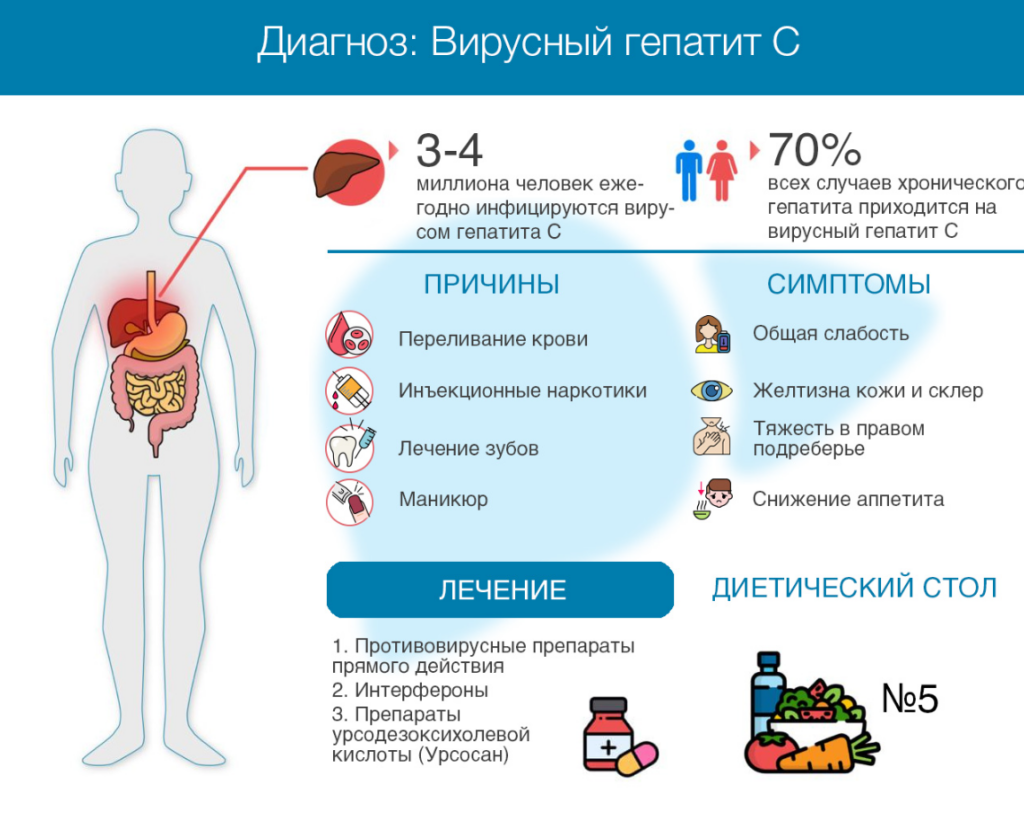 Чем отличается гепатит а от гепатита б. Проявления печеночной недостаточности. Профилактика злоупотребления алкоголем.